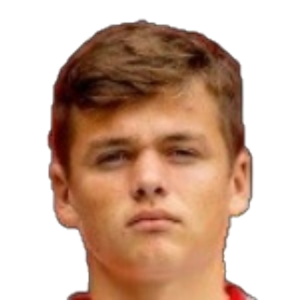 D. Visinský