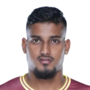 N. Fernandes
