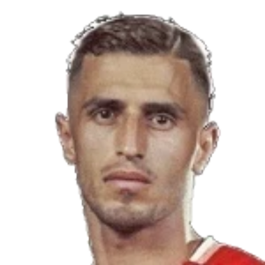 A. Alipour