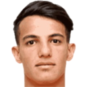 A. Hosseinzadeh