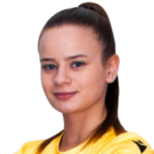 K. Kozak
