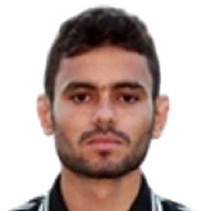 J. Salmani