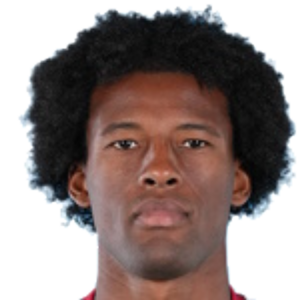 G. Wijnaldum