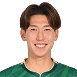 N. Hayashi