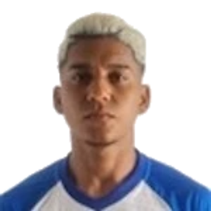 Francisco Victor Rocha dos Santos