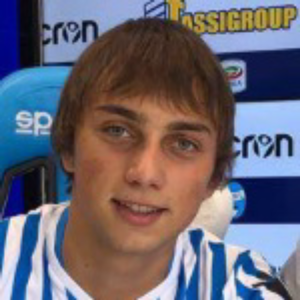L. Nikolic