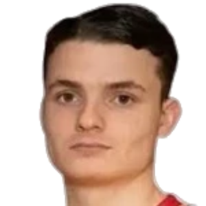 D. Salcinovic