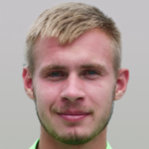 V. Rybak