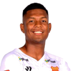 J. Chirinos