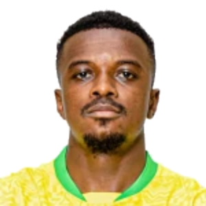 T. Mokoena