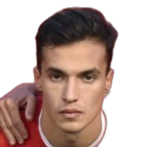 Ferran Zarzoso