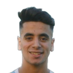 Walid Mostafa