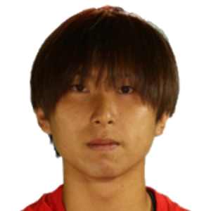 K. Fujimoto
