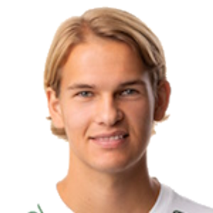 M. Karlsson