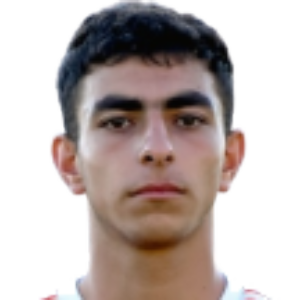G. Akulyan