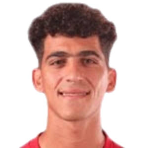 Ali Hamdy