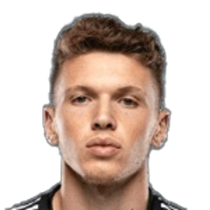 Henrique Arreiol