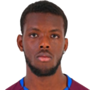 Y. Nahounou
