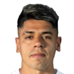 F. Tevez
