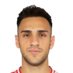 E. Aydin