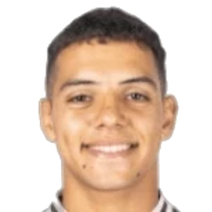 T. Silva