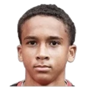 N. Le Bret