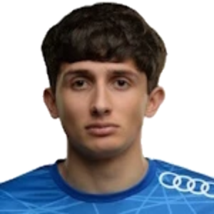 K. Vardanyan