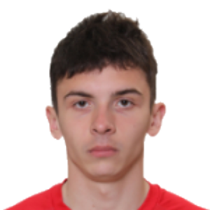 V. Bolotnikov