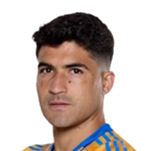 N. Ibáñez
