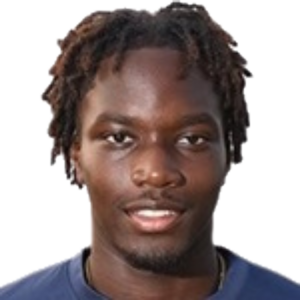 J. Ndiaye