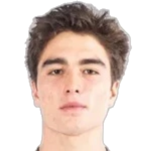 J. Goicochea