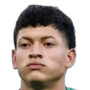 É. Ricardo