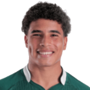 Pedro Junqueira