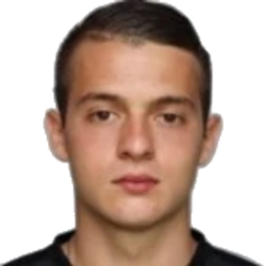 N. Mihajlović