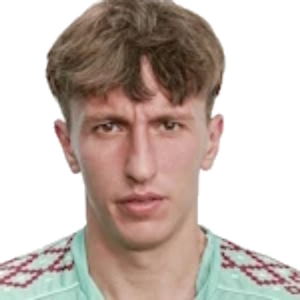 V. Martinkevich