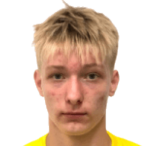 N. Nikiforov