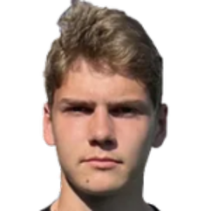 N. Kamaev