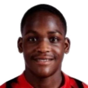 D. Adu-Adjei