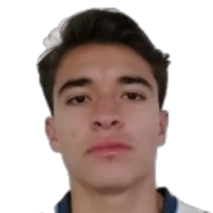 S. De Los Rios