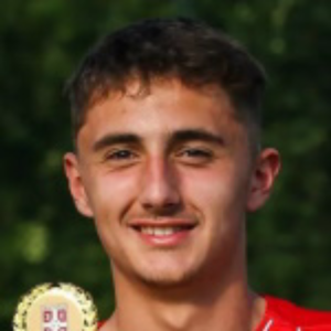 I. NikÄeviÄ