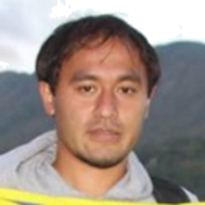 R. Ardiles