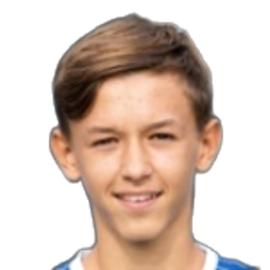 Tarik Brkic