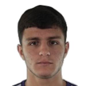 D. Harutyunyan