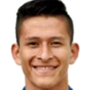 R. Fernandez