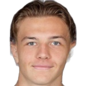 K. Muharemovic