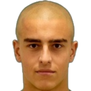 M. Bachev