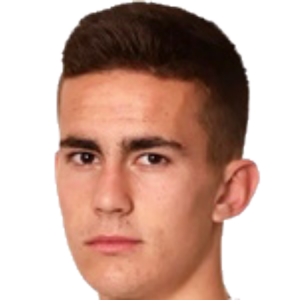 J. Jevremovic