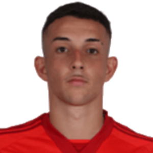 Felipe Motta