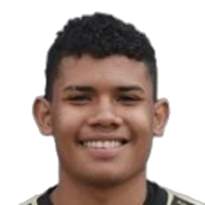 R. A. Benitez Hernandez