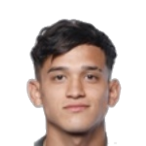 D. Gorosito